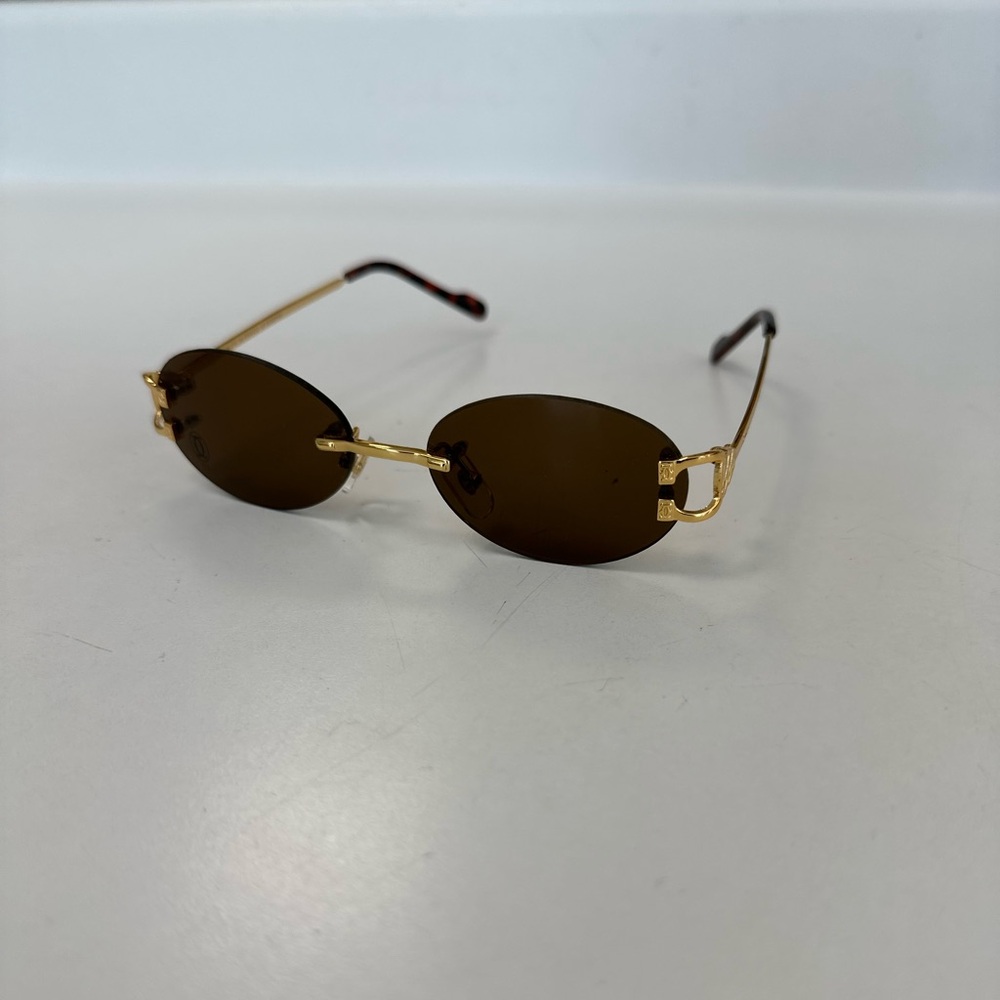 Vintage Cartier Sunglasses!